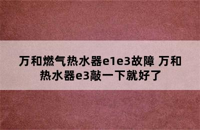 万和燃气热水器e1e3故障 万和热水器e3敲一下就好了